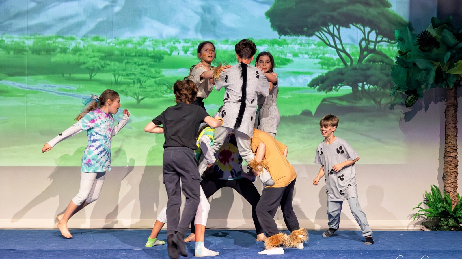Festi-Cirque: Retour en images sur le spectacle de l'école Harwood 