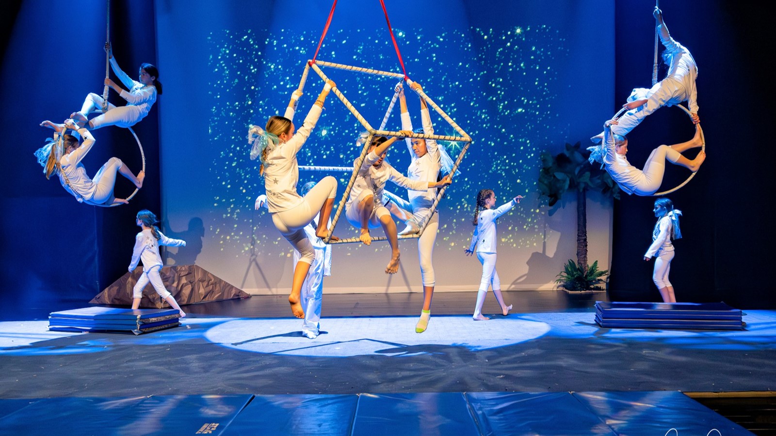 Festi-Cirque: Retour en images sur le spectacle de l'école Harwood 