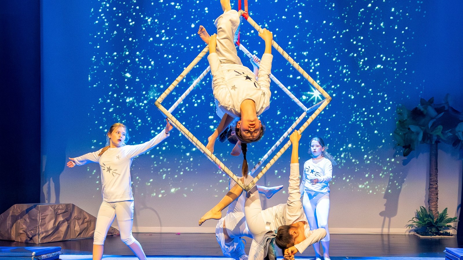 Festi-Cirque: Retour en images sur le spectacle de l'école Harwood 