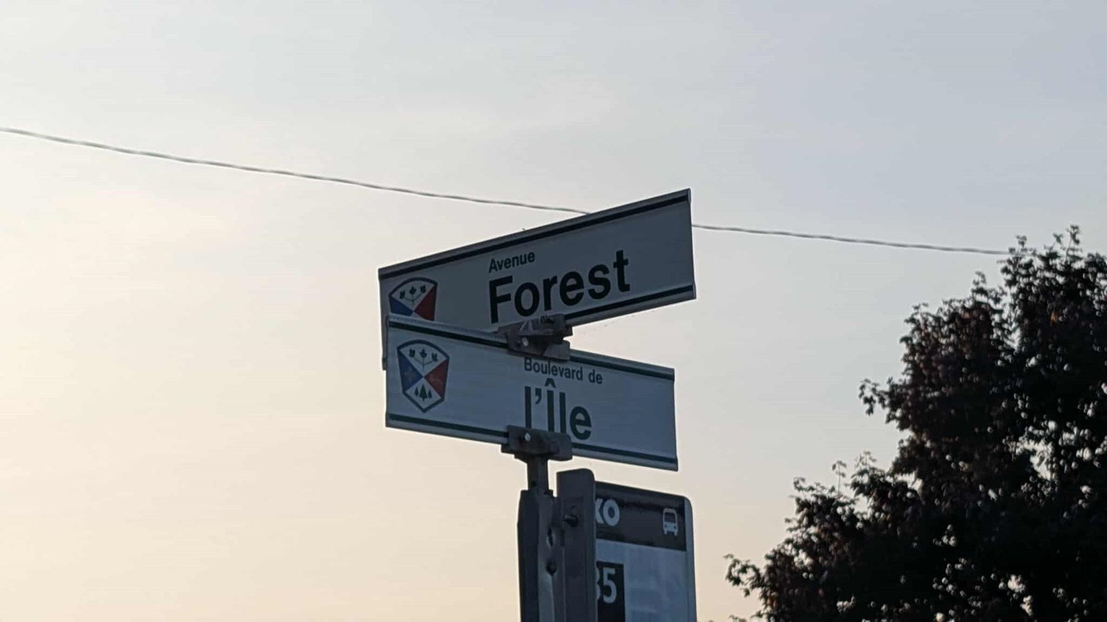 Réduction de la vitesse sur l'avenue Forest