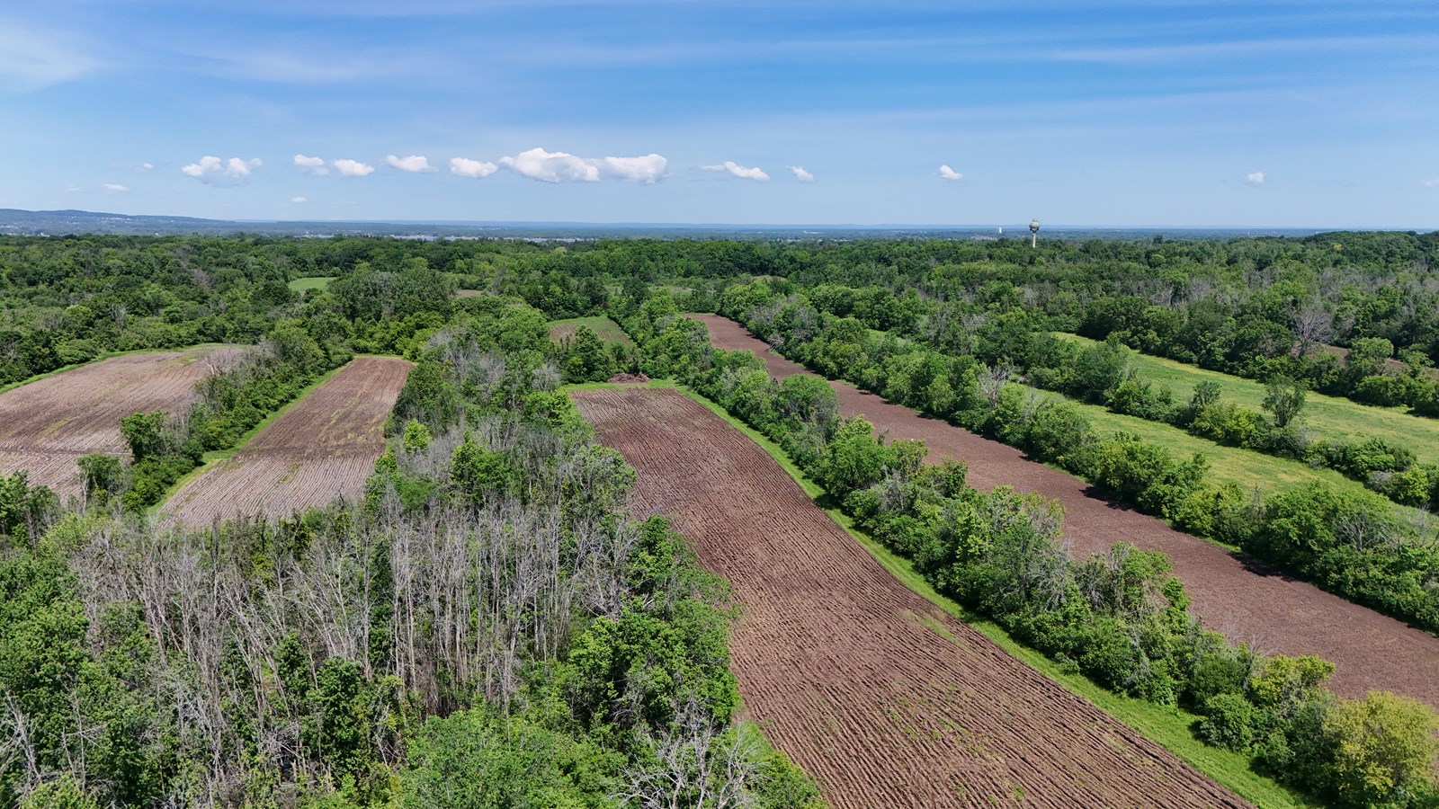 Cultiver la biodiversité au cœur de l'Ouest-de-l'Île