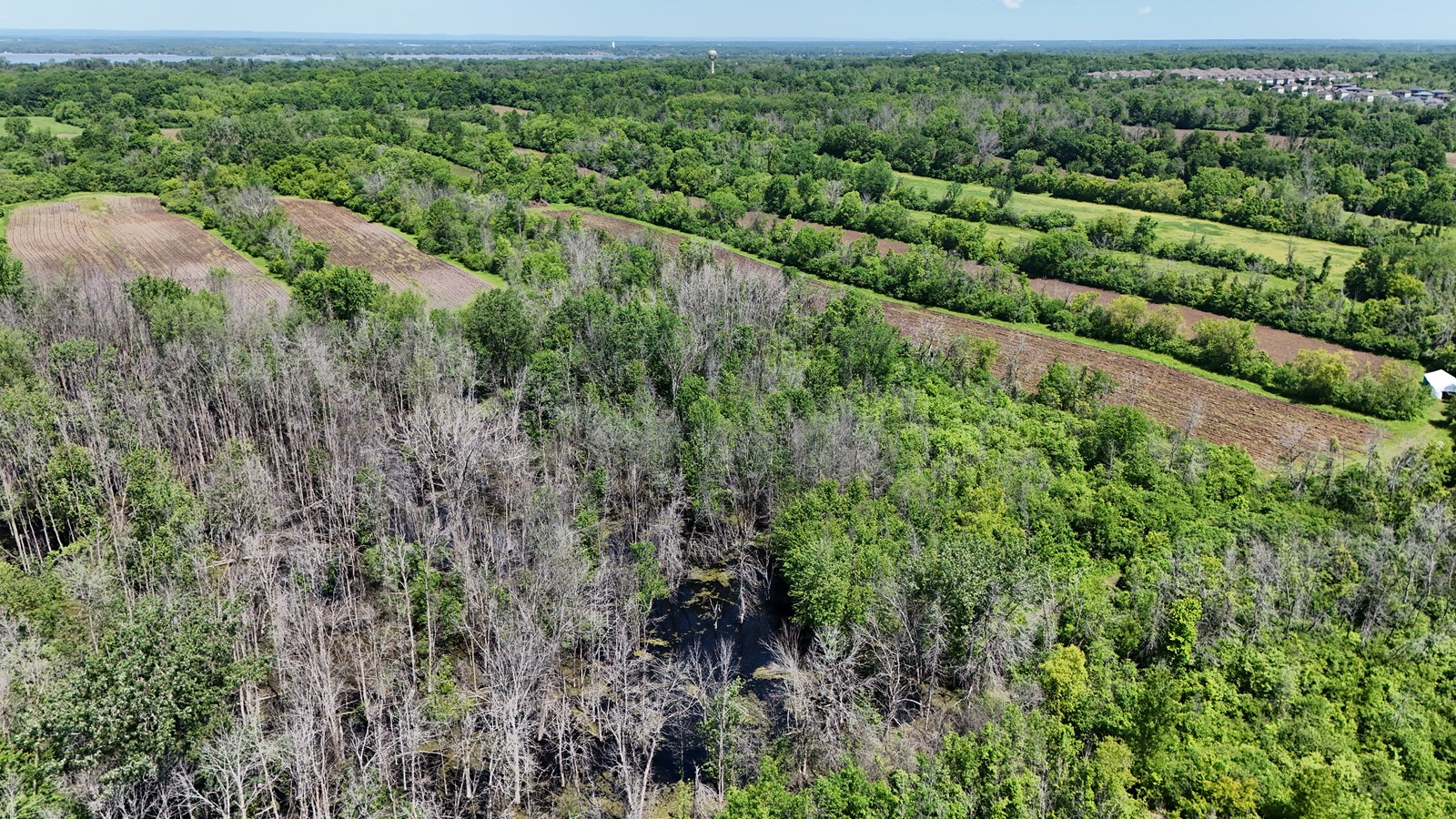 Cultiver la biodiversité au cœur de l'Ouest-de-l'Île