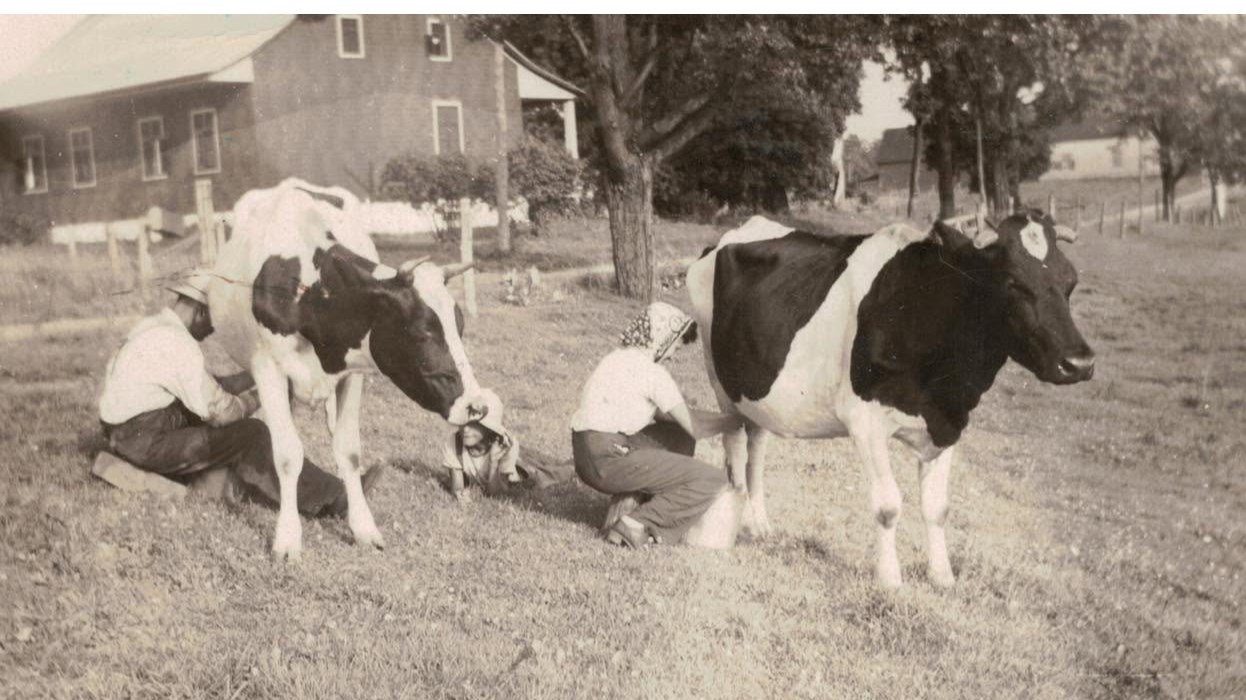 Célébrer un siècle d'histoire familiale