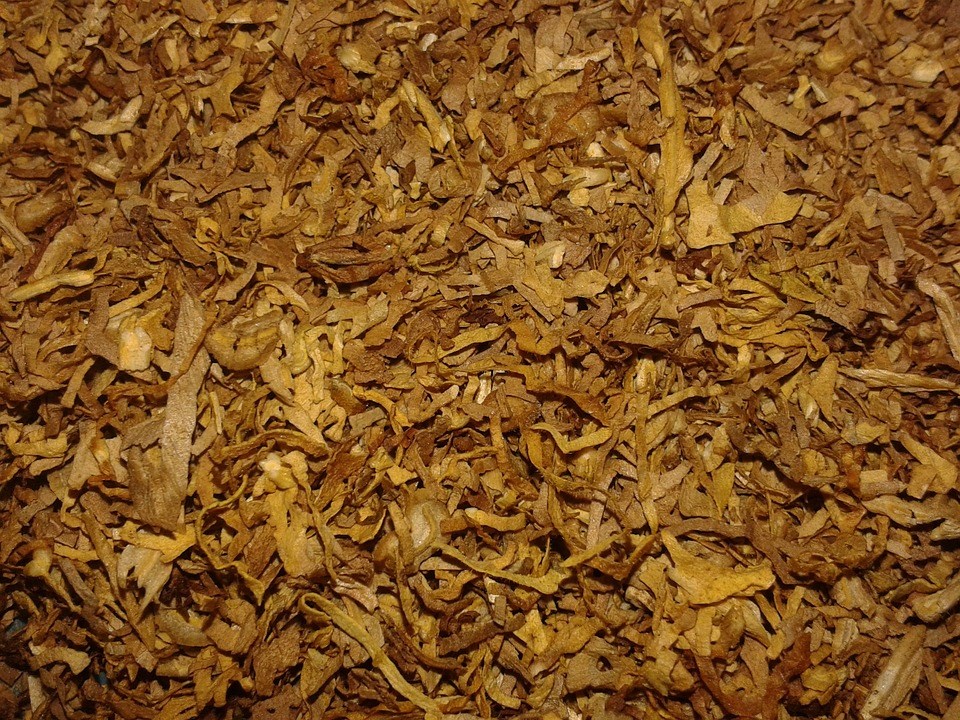 Deux jeunes de Les Cèdres arrêtés pour contrebande de tabac