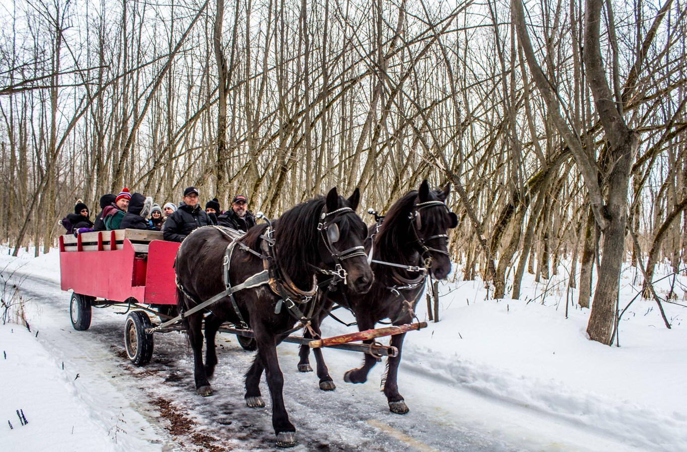 Petits et grands se sont amusés lors de la Festiglace de la Municipalité de Saint-Zotique.