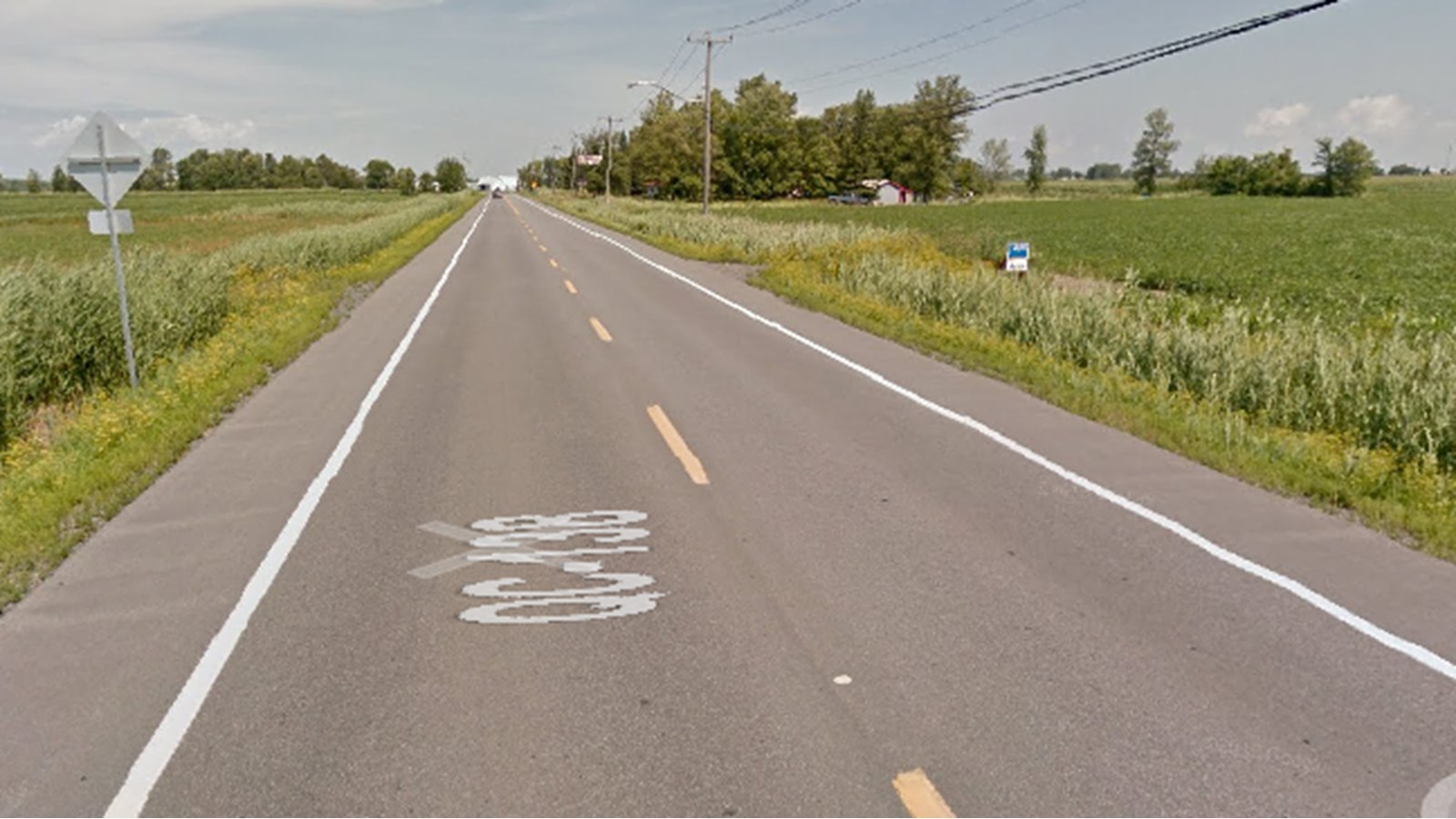 Bientôt une haie brise-vent sur la route 138 entre Mercier et Sainte-Martine?