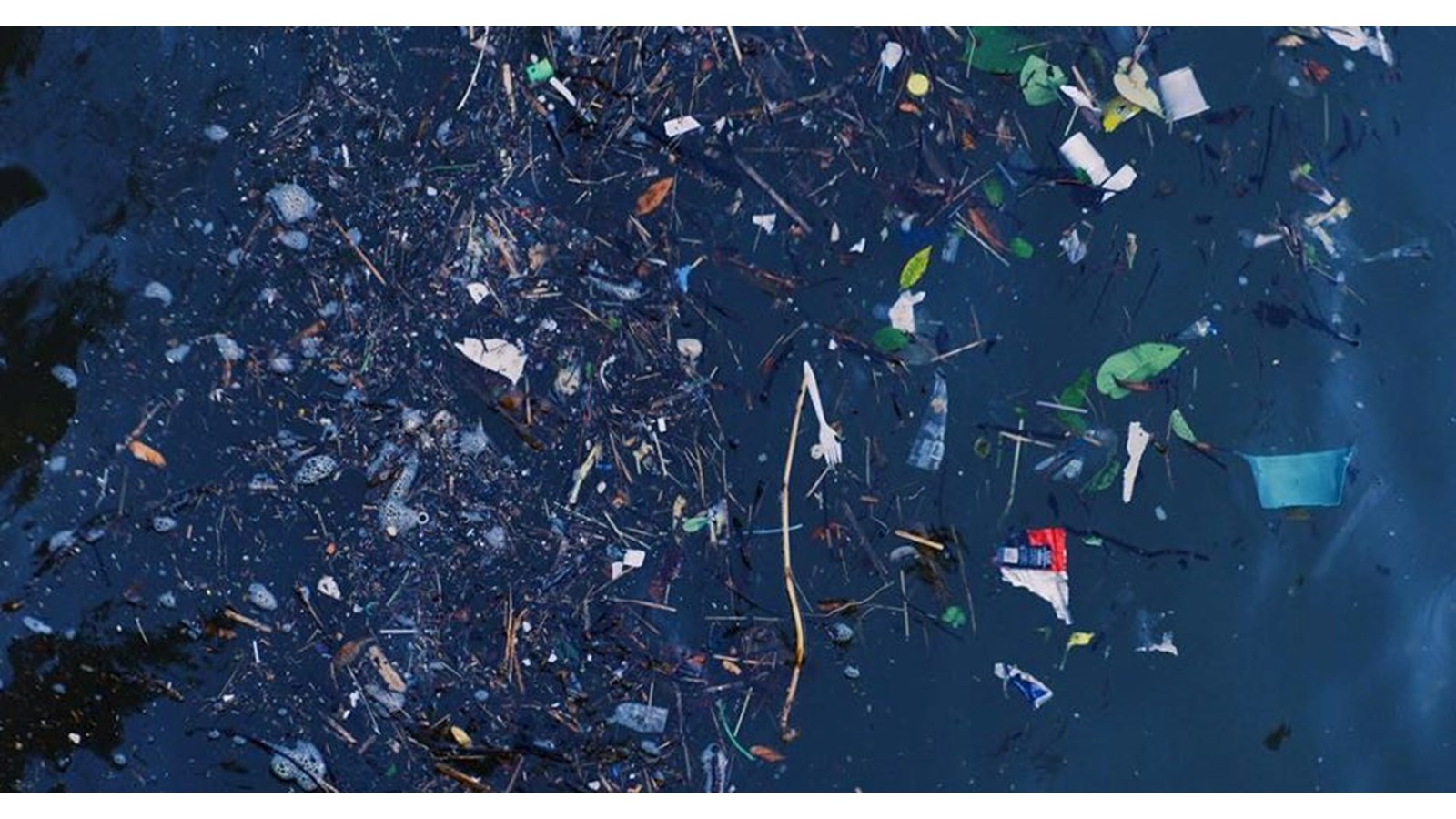 Deux québécois lancent un nouveau média dédié aux enjeux environnementaux