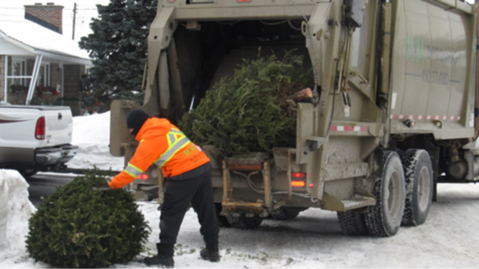 Arbres de Noël: disposez-en de façon écoresponsables après le temps des Fêtes