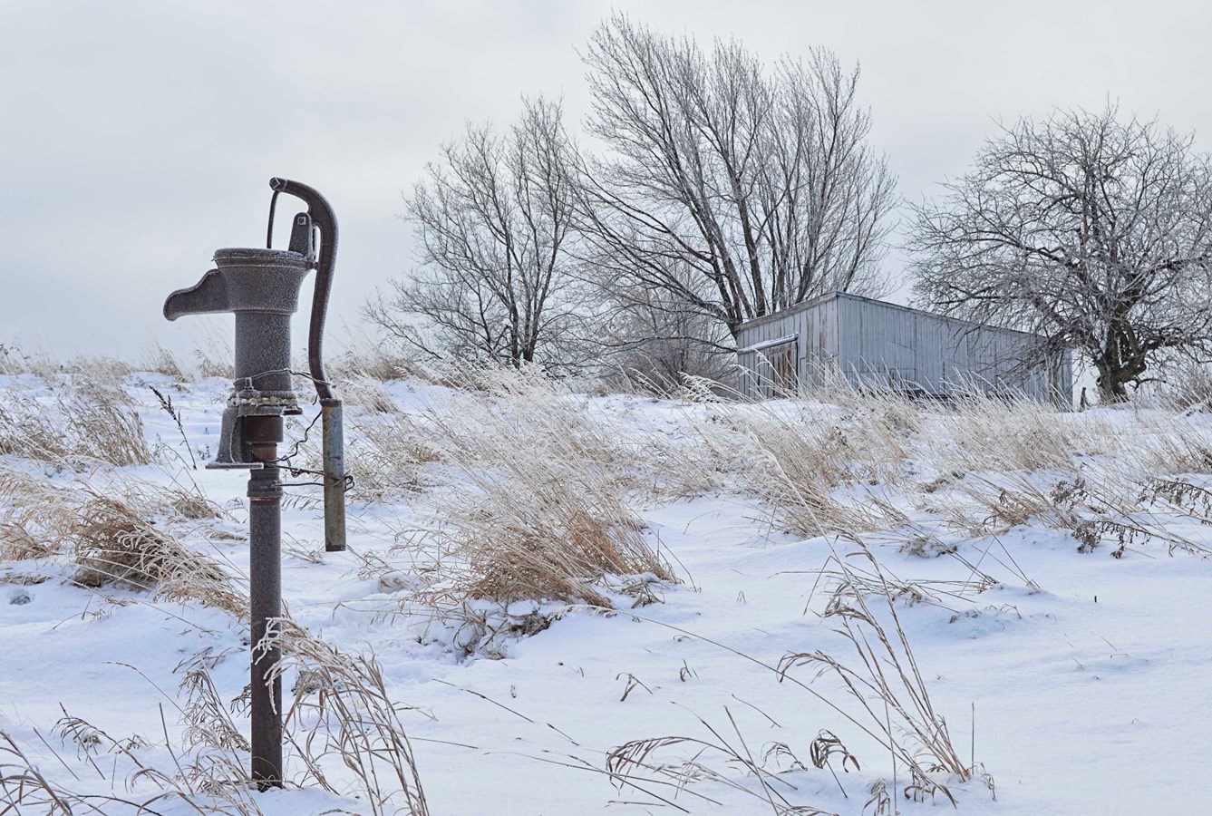 1ère photo Coup de cœur (bourse de 200 $) – Photo intitulée « Sentier de la rivière Saint-Charles » prise à Salaberry-de-Valleyfield par M. Yves Tessier de Salaberry-de-Valleyfield.