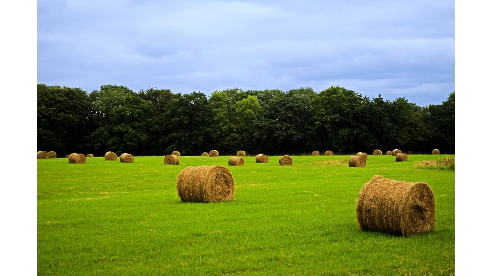 Financement agricole Canada figure au palmarès des meilleurs employeurs du Canada.
