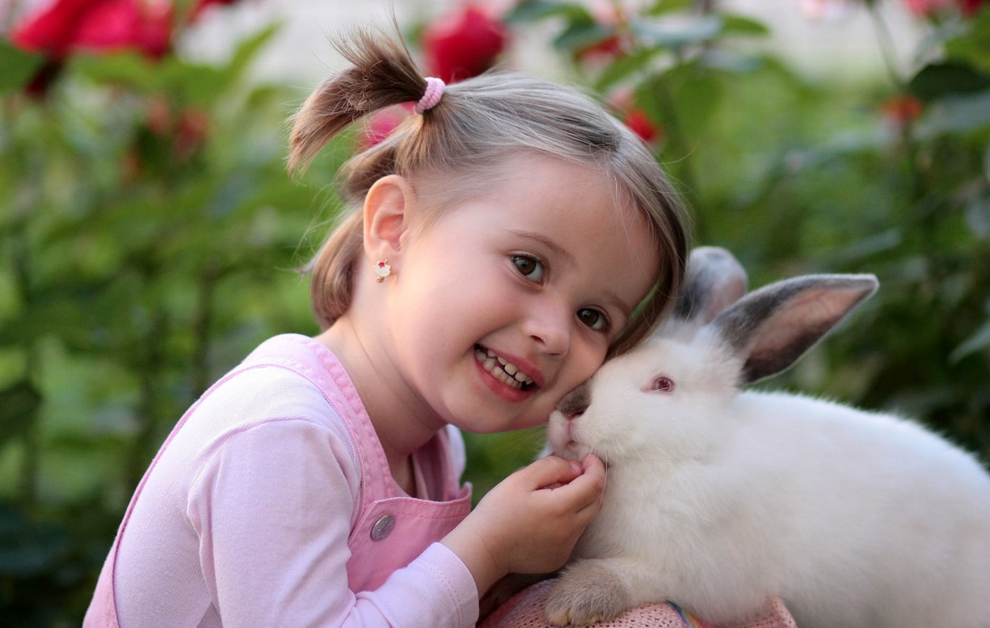 Offrir un lapin pour Pâques est-ce vraiment une bonne idée ?