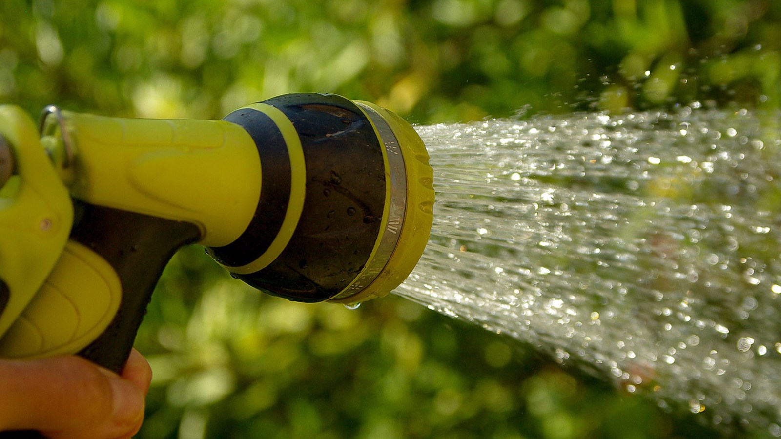 Entretien des terrains, arrosage et remplissage de piscines : des règlements s’appliquent