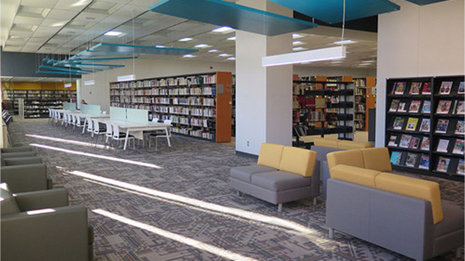 Une programmation pour tous les goûts cet automne à la bibliothèque Armand-Frappier
