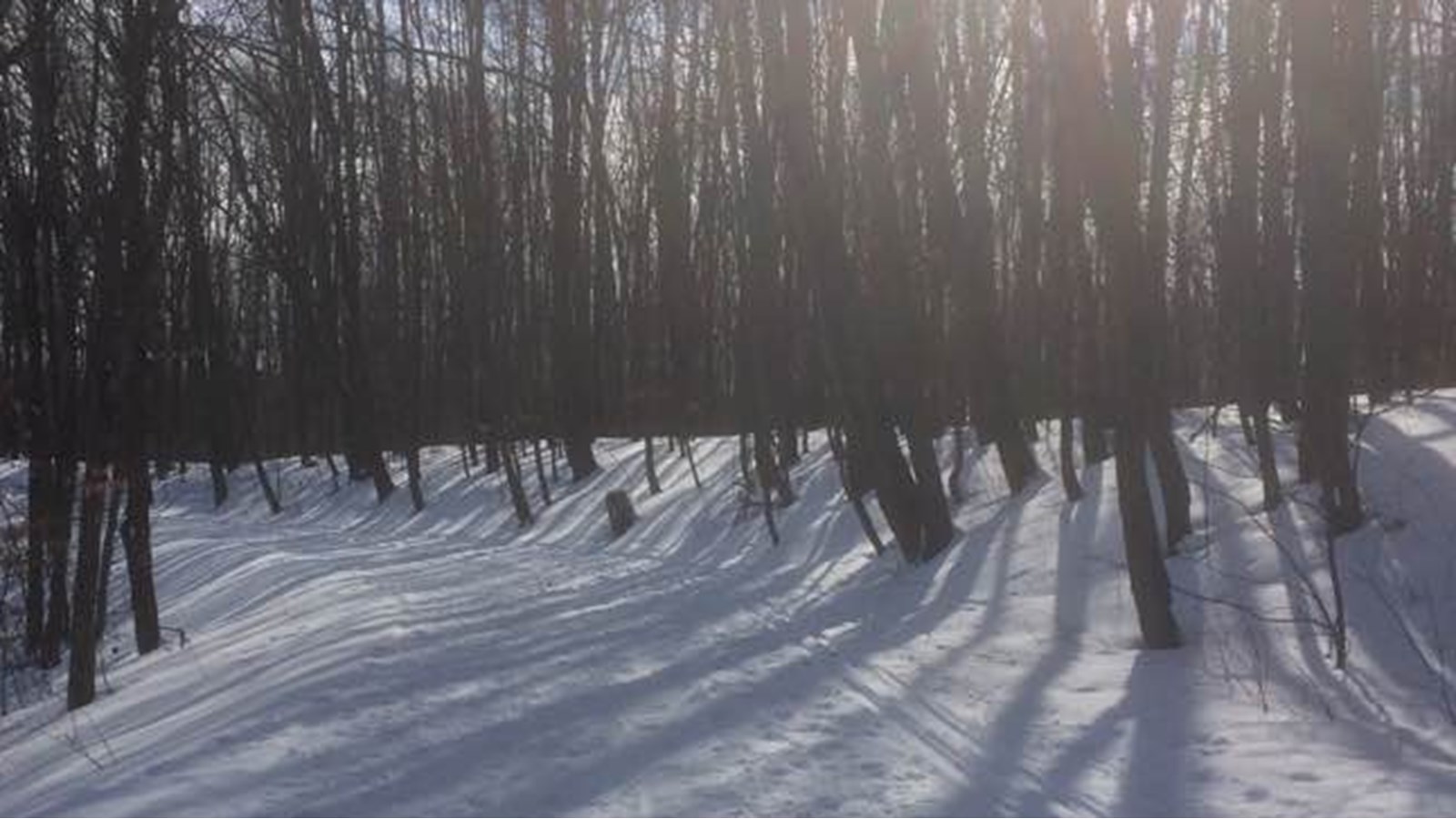 Profitez des joies hivernales au Bois Robert de Beauharnois