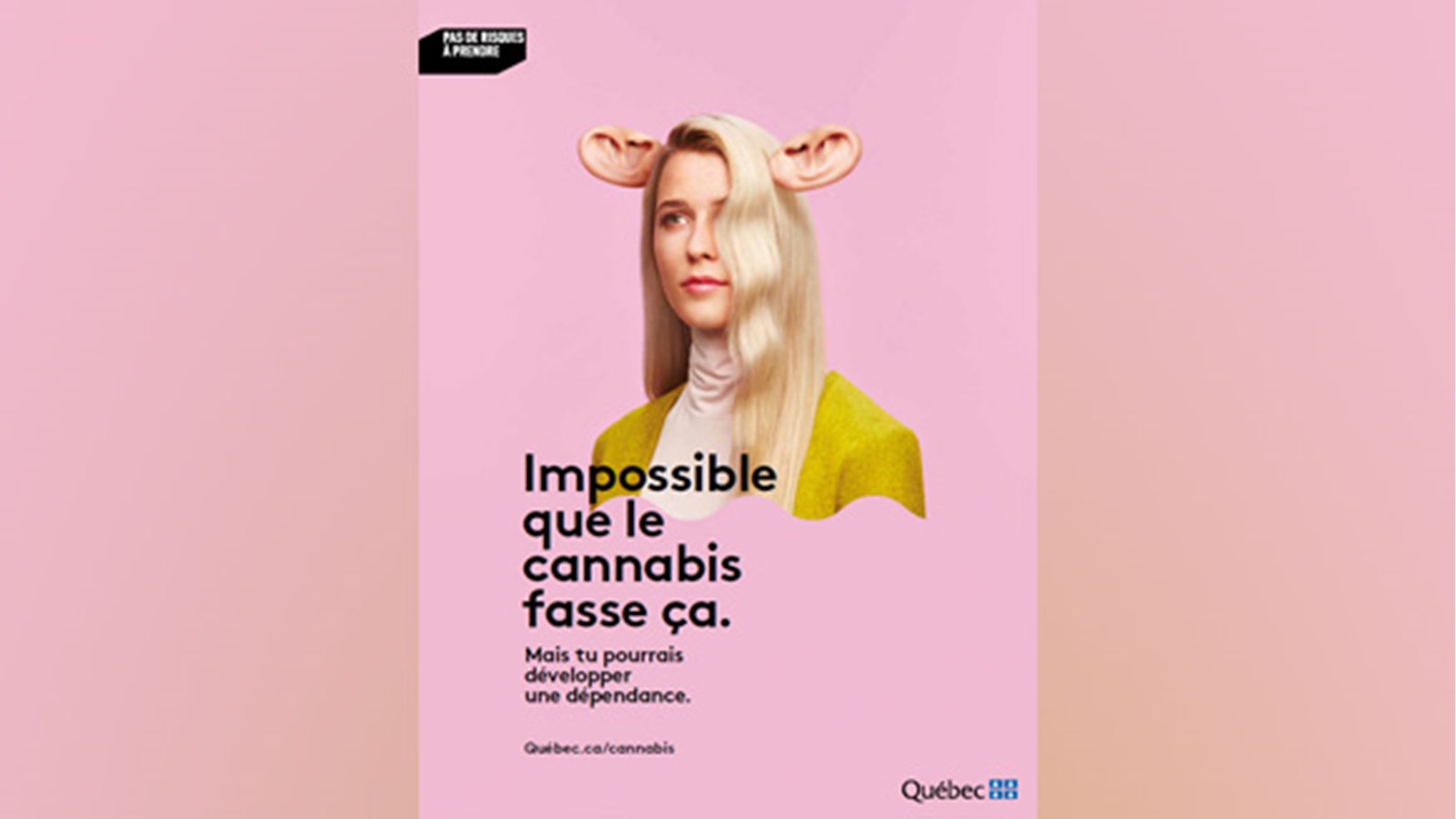 Les risques du cannabis au coeur d’une campagne d’information