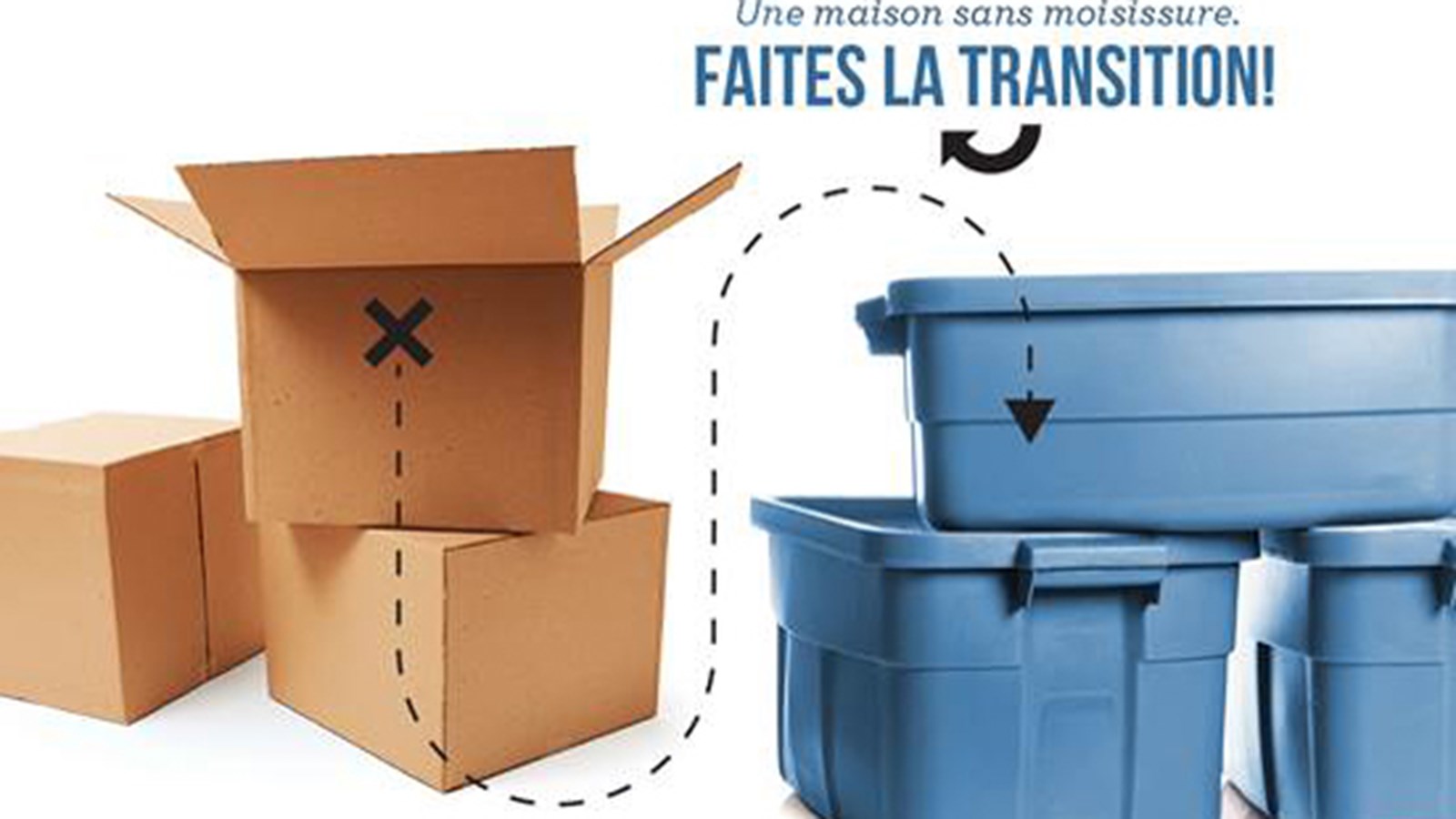 La moisissure, l'une des causes les plus courantes d'une piètre qualité d'air?