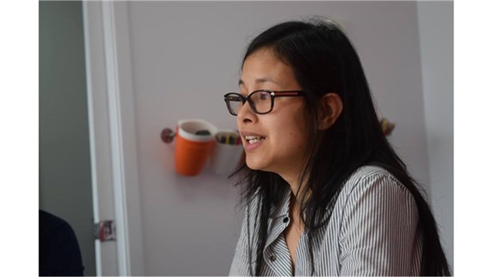 Anne Quach dépose neuf motions citoyennes environnementales au Parlement