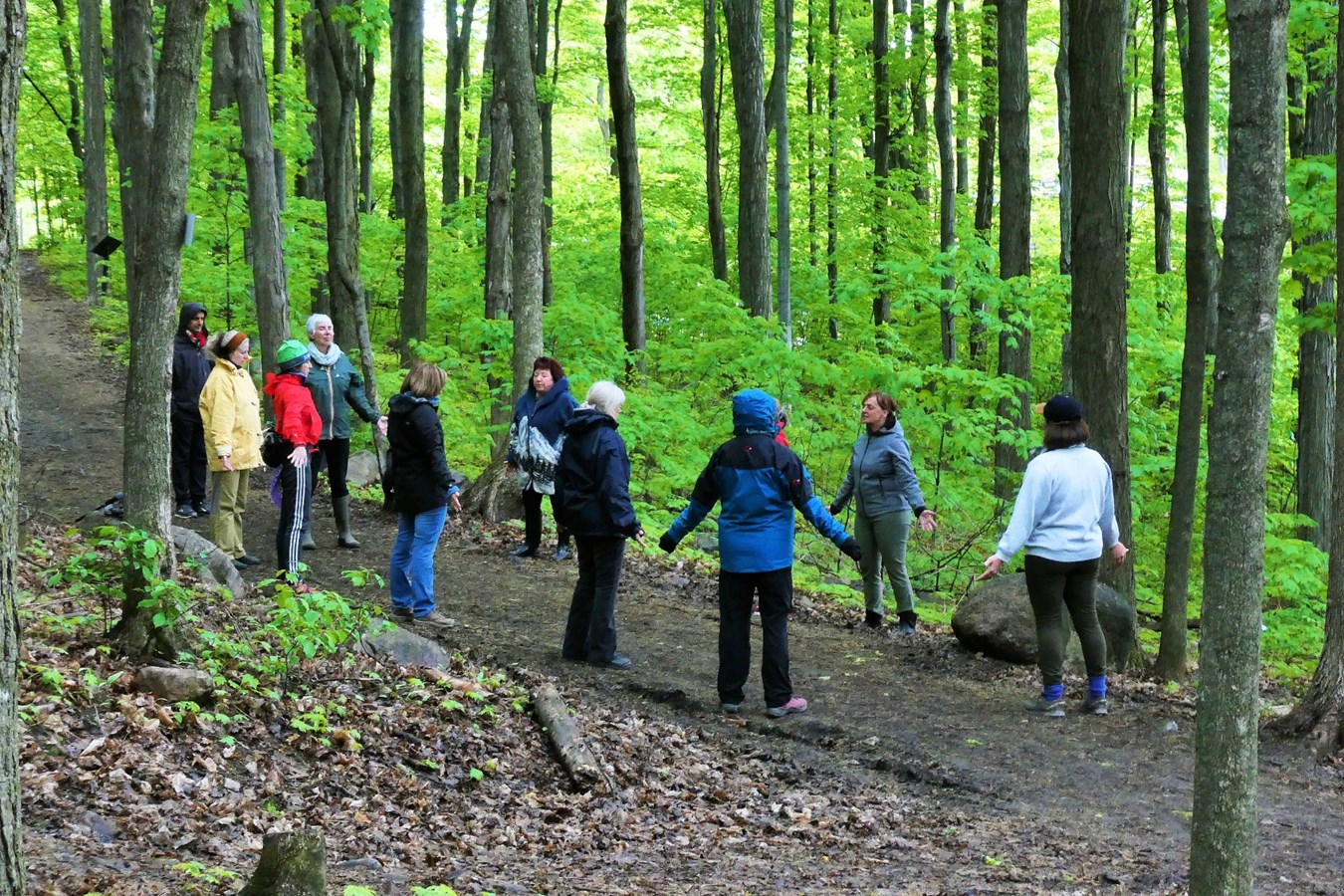 La forêt des sentiers de L'escapade nommée "première forêt propice au Shinrin Yoku au Canada"