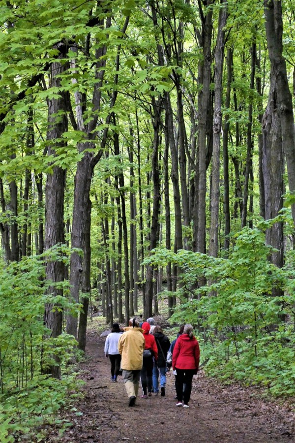 La forêt des sentiers de L'escapade nommée "première forêt propice au Shinrin Yoku au Canada"