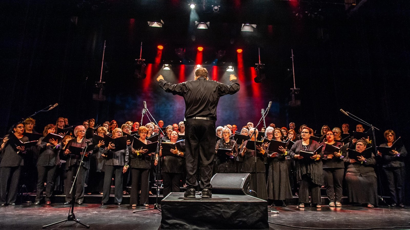 Le Choeur des Gondoliers reçoit 12 000$ pour supporter ses projets
