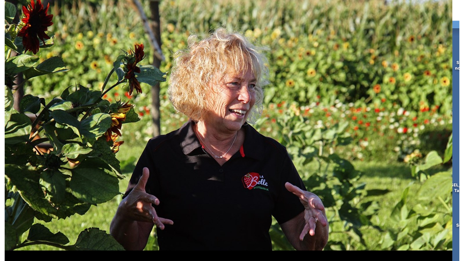 Mme Isabelle explique les particularités des tournesols, dont certaines variétés peuvent être cueillies sur place par les visiteurs.