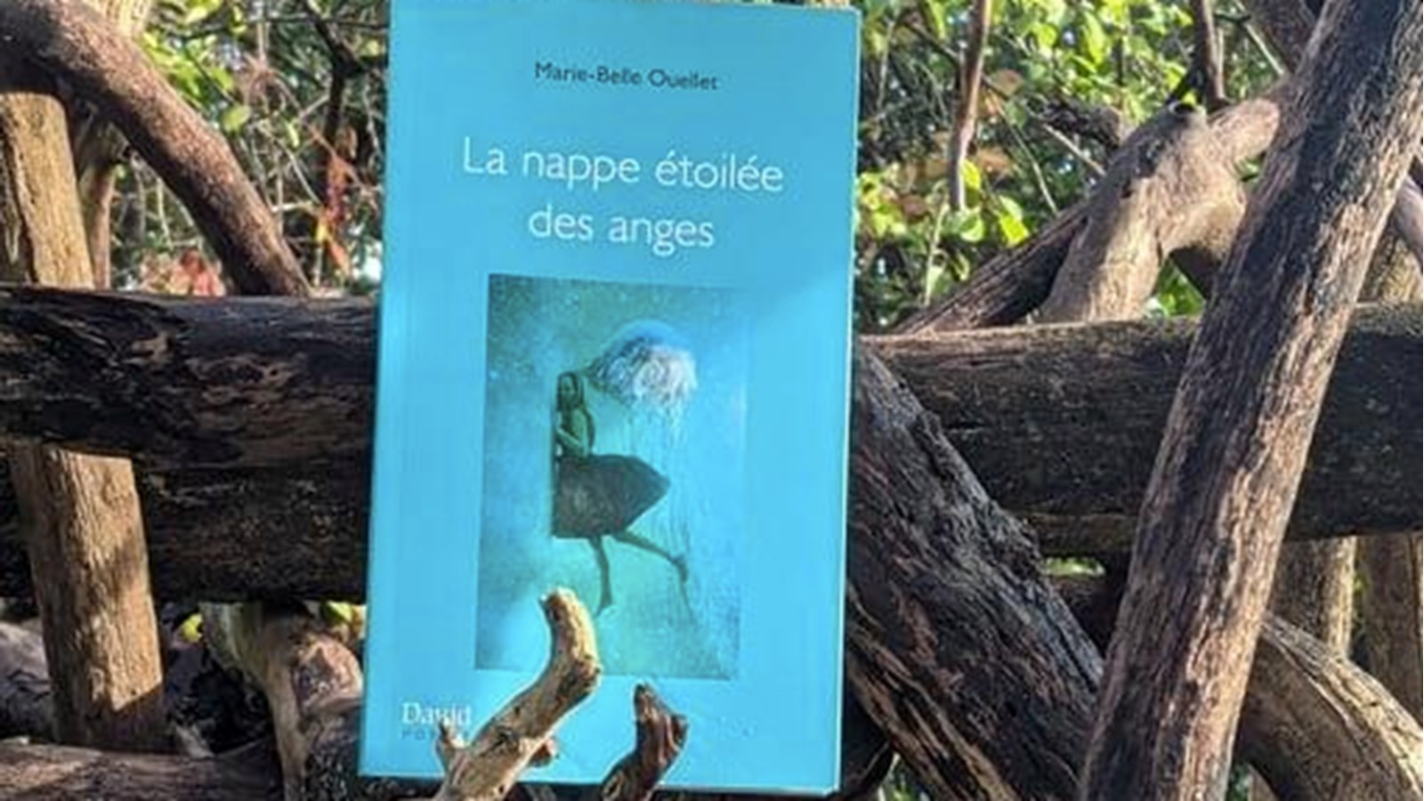 Un nouveau recueil de poèmes pour une résidente du Suroît  