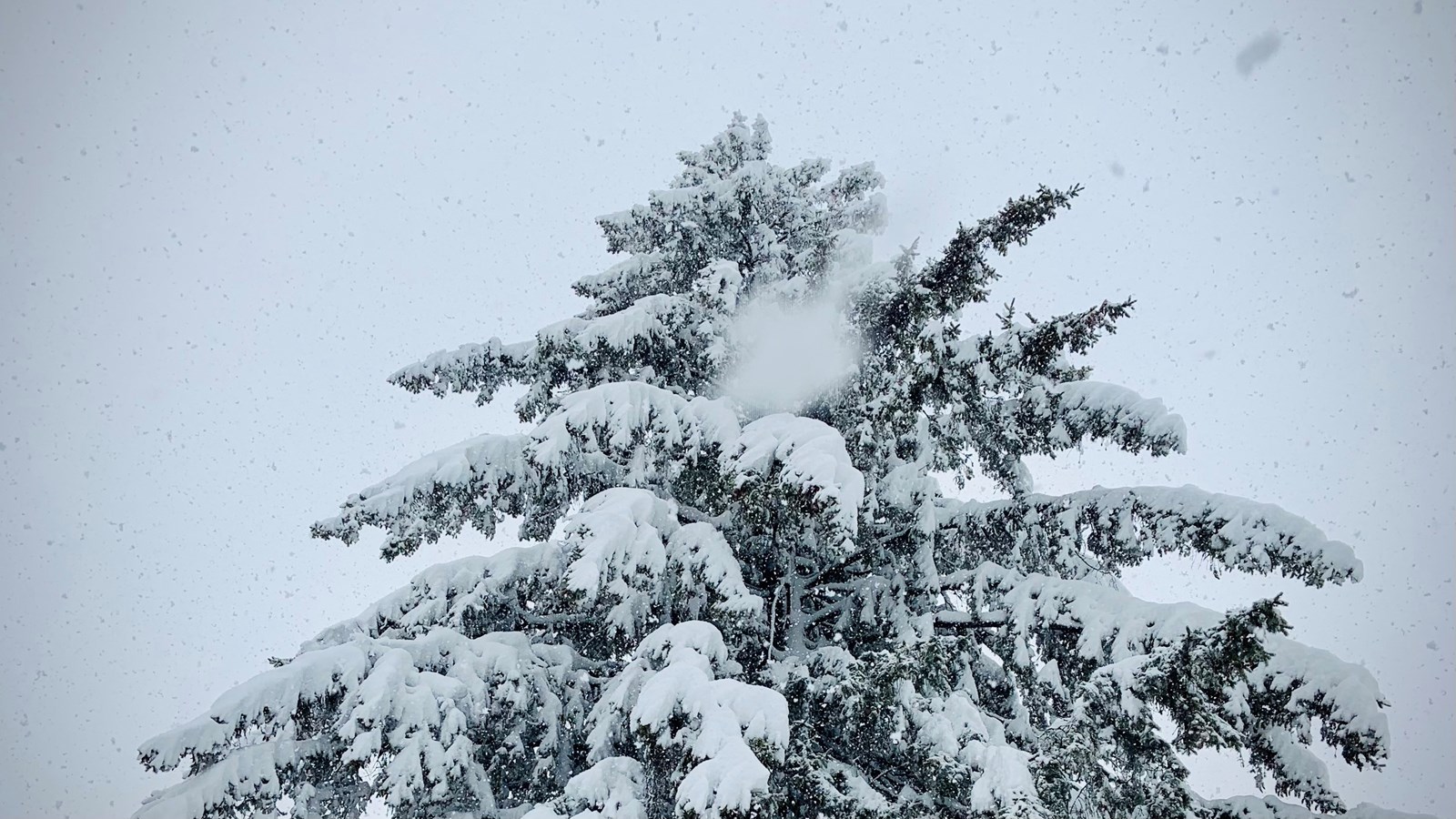 Plus de neige qu'à la normale cet hiver au Québec