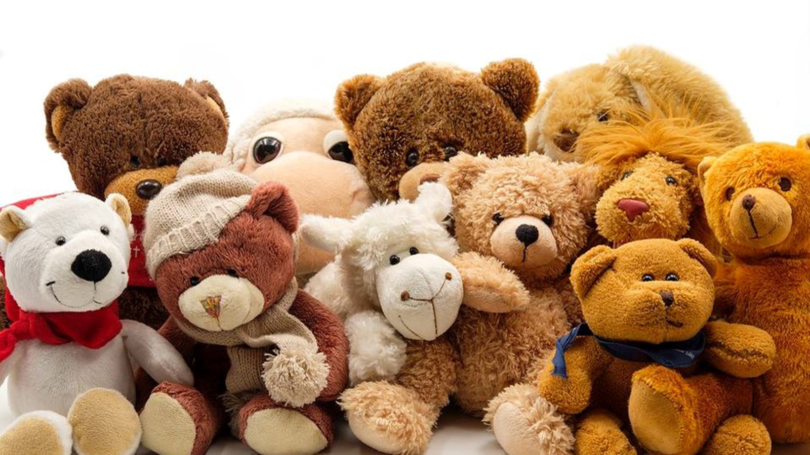 Les peluches ne font pas partie des denrées acceptées lors de la guignolée du 4 décembre