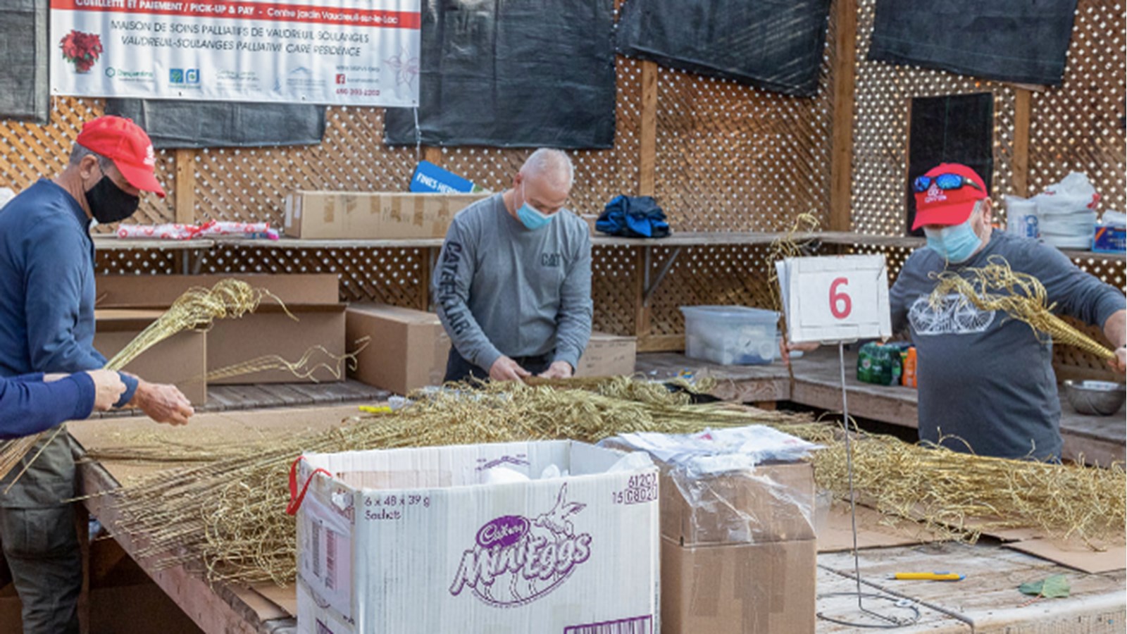 Plus de 2 500 poinsettias trouvent preneurs pour soutenir la MSPVS