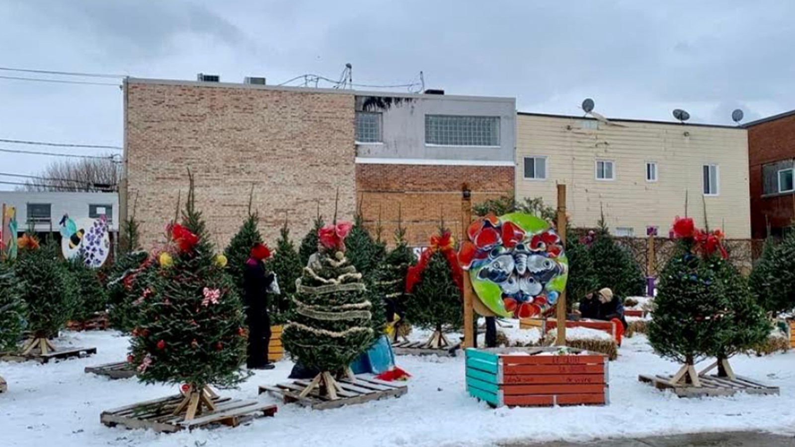 Une forêt de sapins à décorer au centre-ville de Salaberry-de-Valleyfield