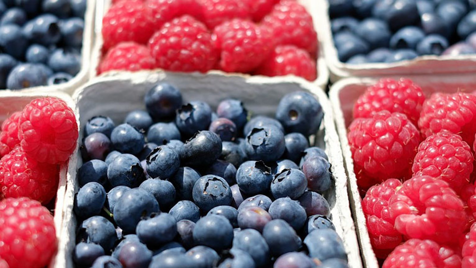Un marché public régional varié ce samedi