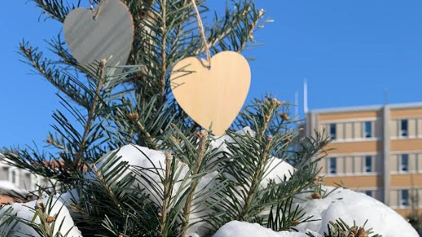 Fête de quartier «L’Hivernale» du PRAQ le 17 février