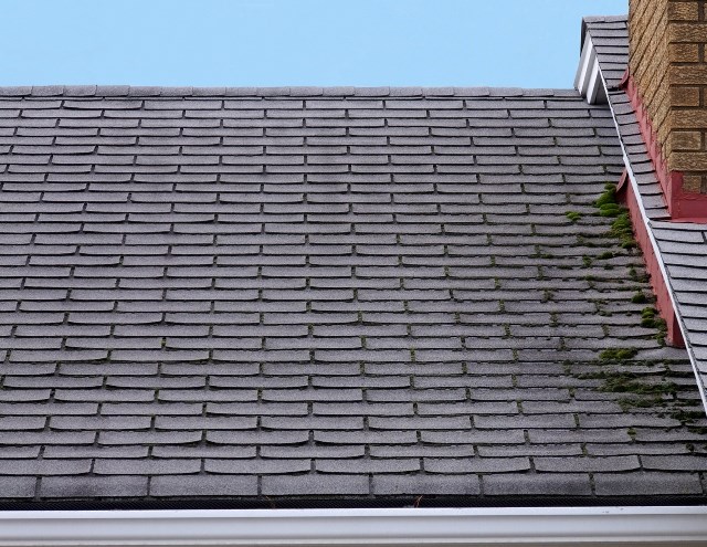 4 conseils pour une toiture plus durable
