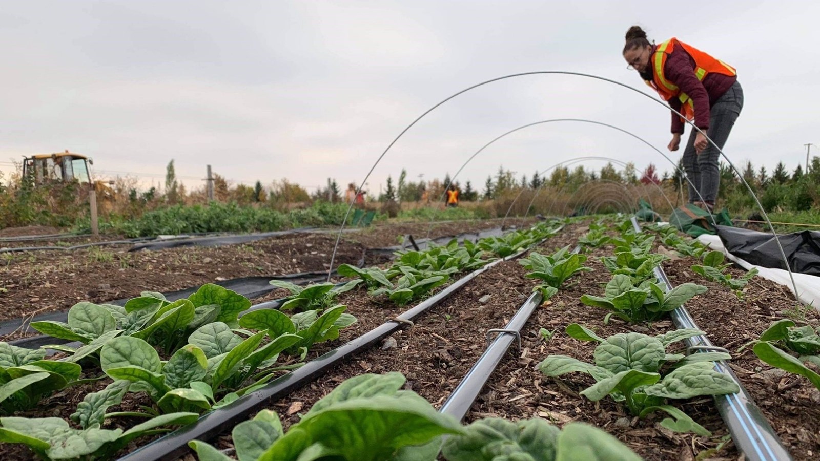 Vente de plantes et portes ouvertes
