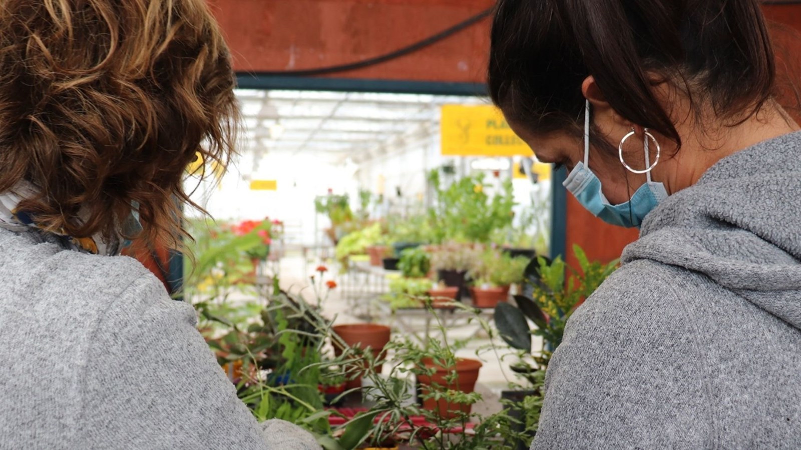 Vente de plantes et portes ouvertes