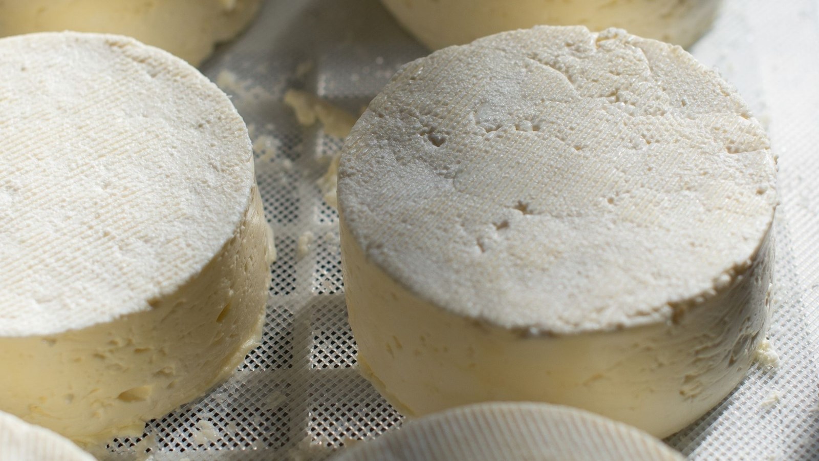 Les producteurs locaux seront tous réunis pour partager les saveurs d'ici