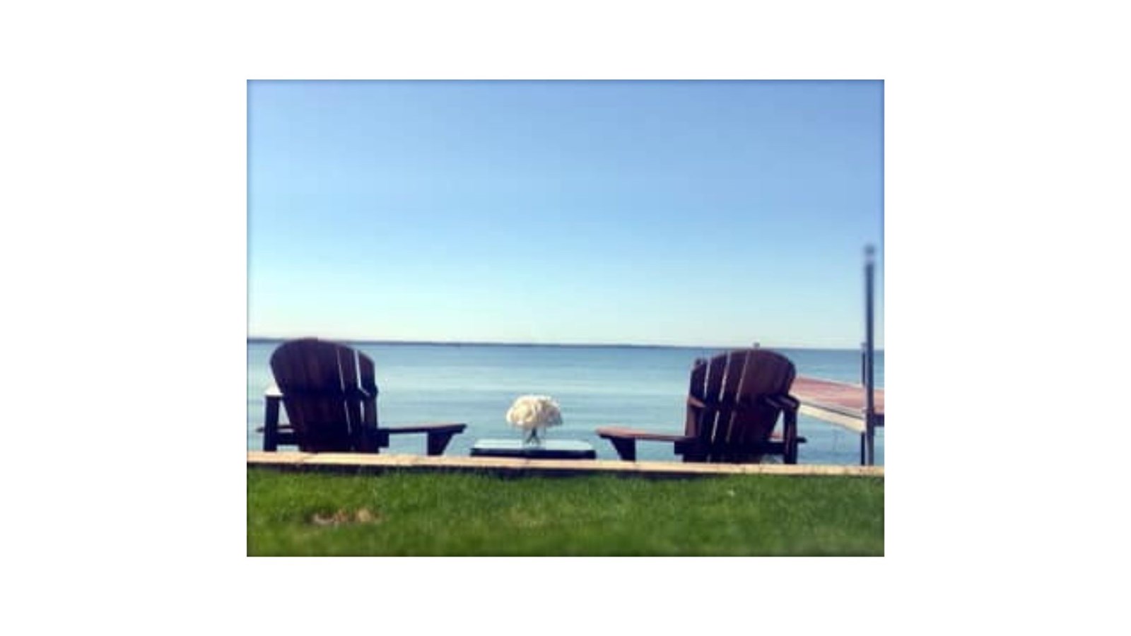 Moins d'une semaine pour nous faire parvenir vos photos sous le thème Début de l'été