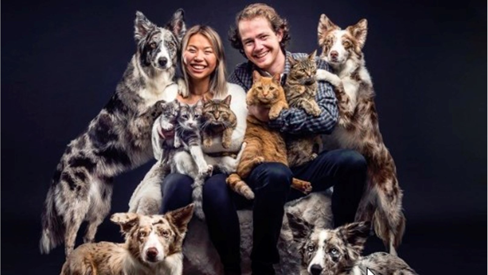 "Depuis la prise de la photo, la famille d'Alexe a accueilli Mushu et Sersi