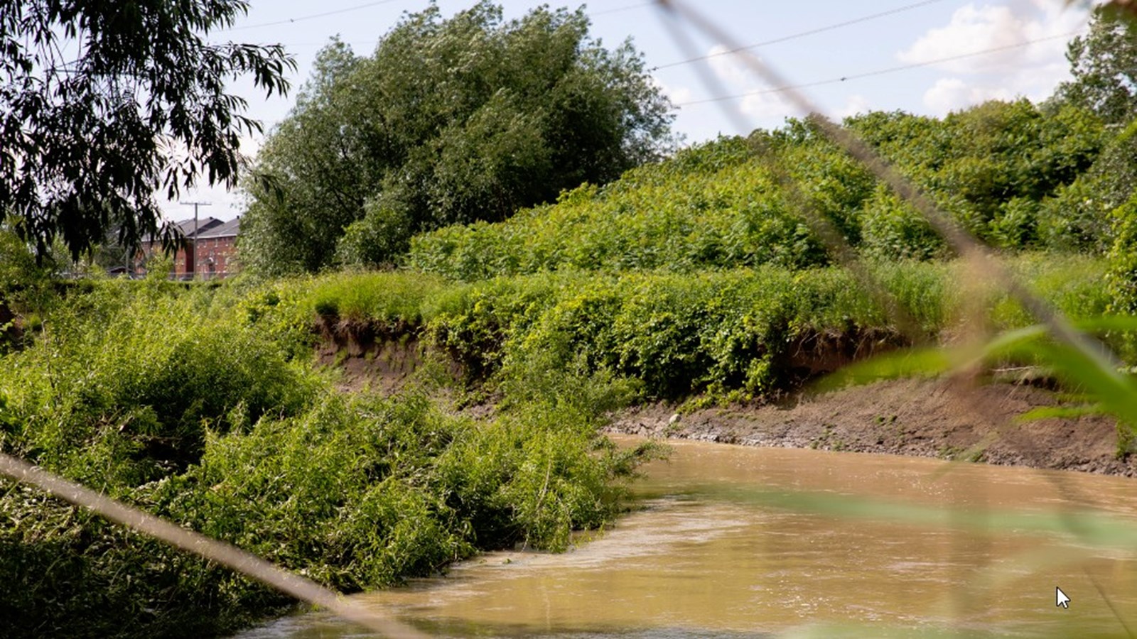 Une visite sur le terrain pour sensibiliser à une saine gestion de l'eau