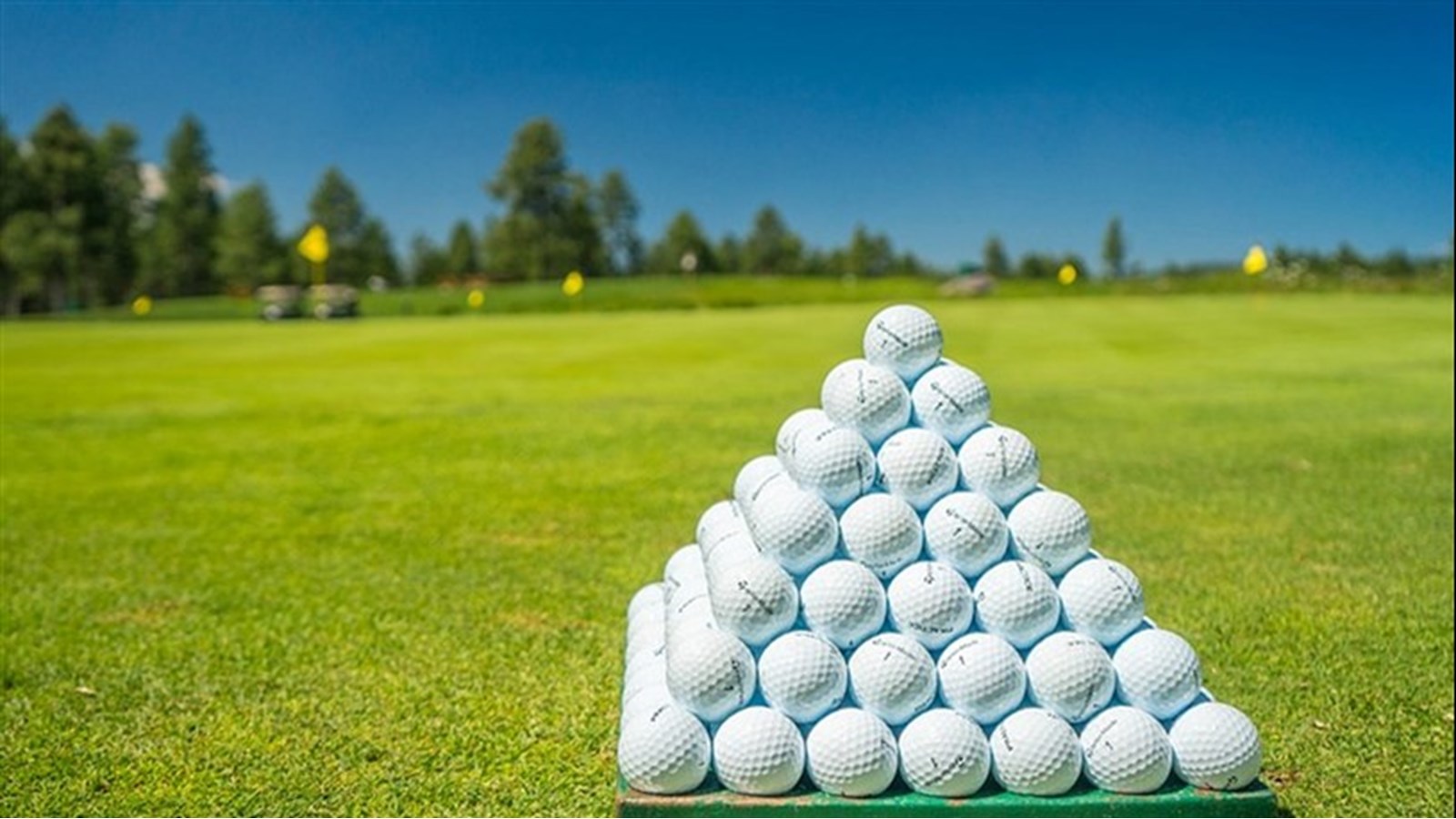 Le tirage golf « Un élan pour la faim! de Moisson Sud-Ouest est de retour