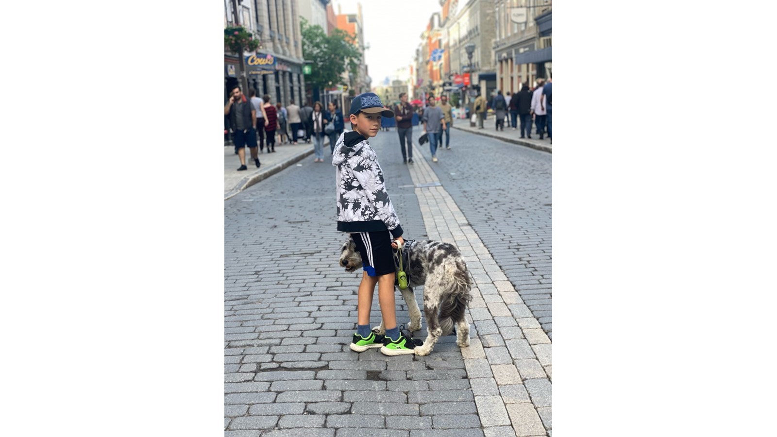 Vos animaux en vacances - Galerie 1