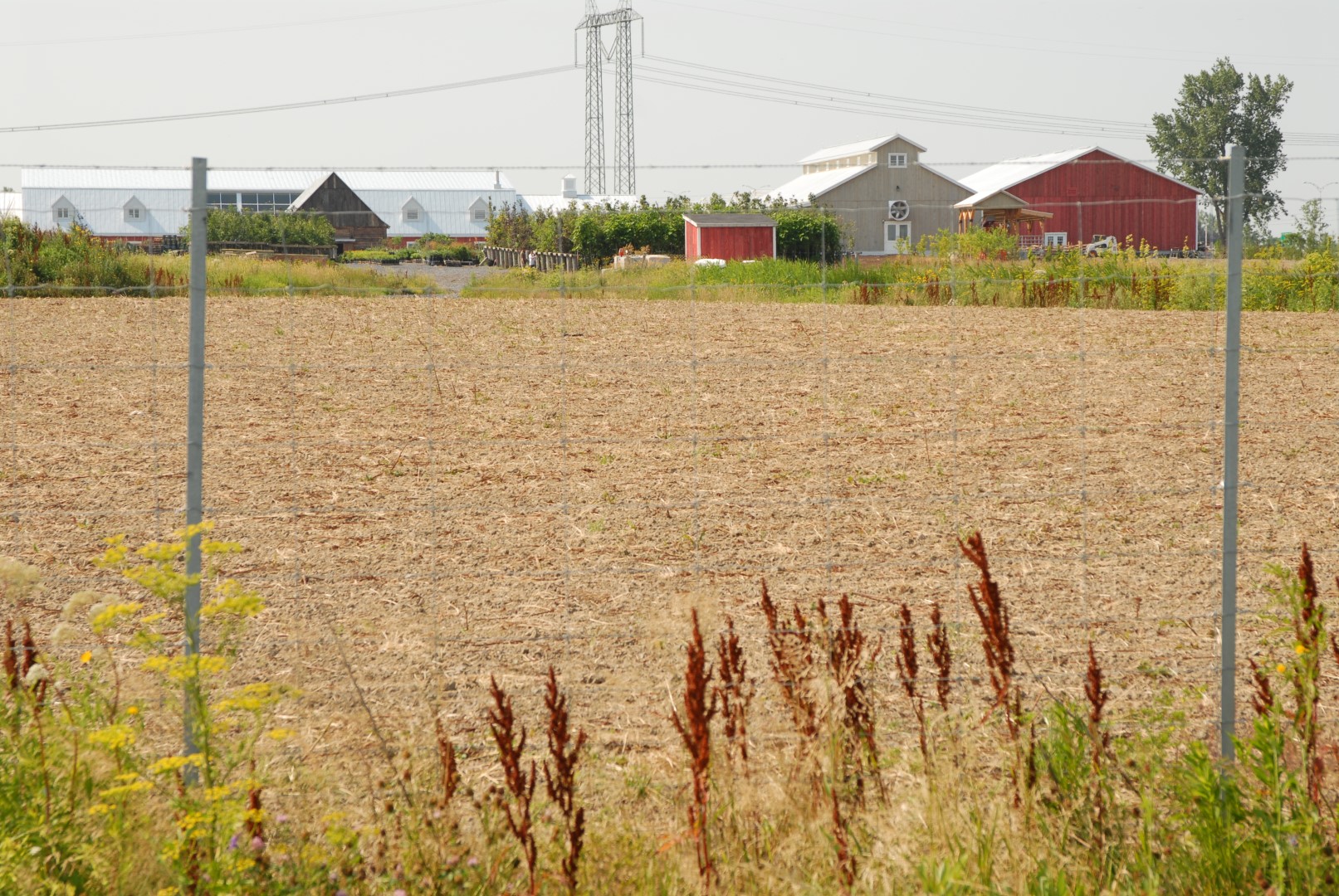 C'est sur un terrain adjacent à la Ferme Guyon que sera aménagé le jardin communautaire. (Photo: Luc Giard)