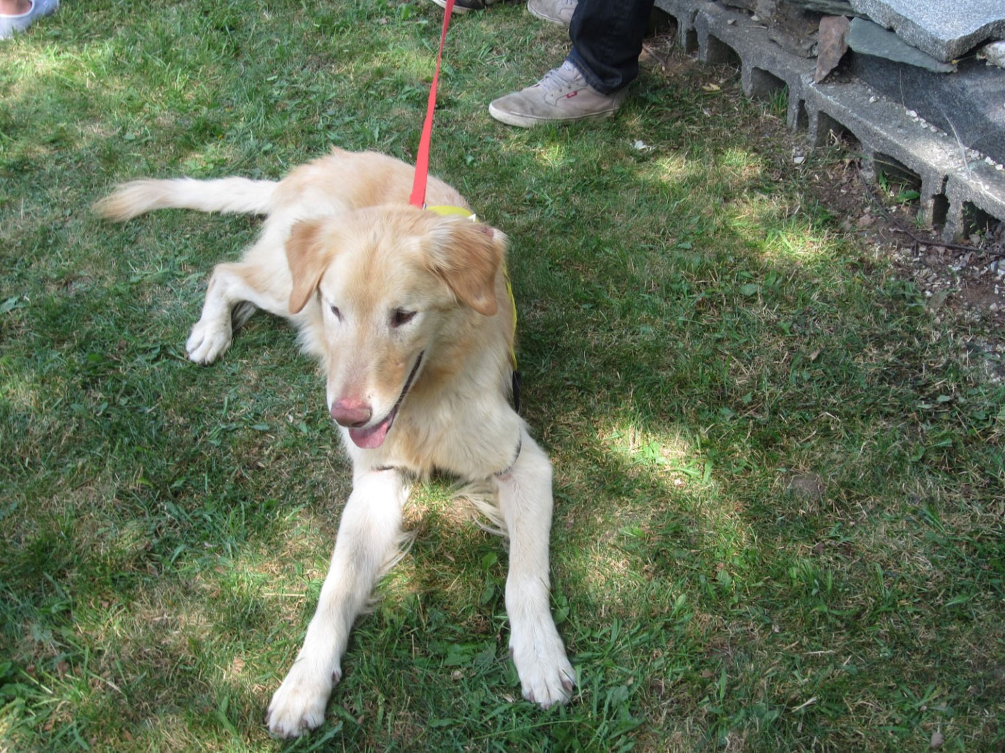 (Photo : Courtoisie)