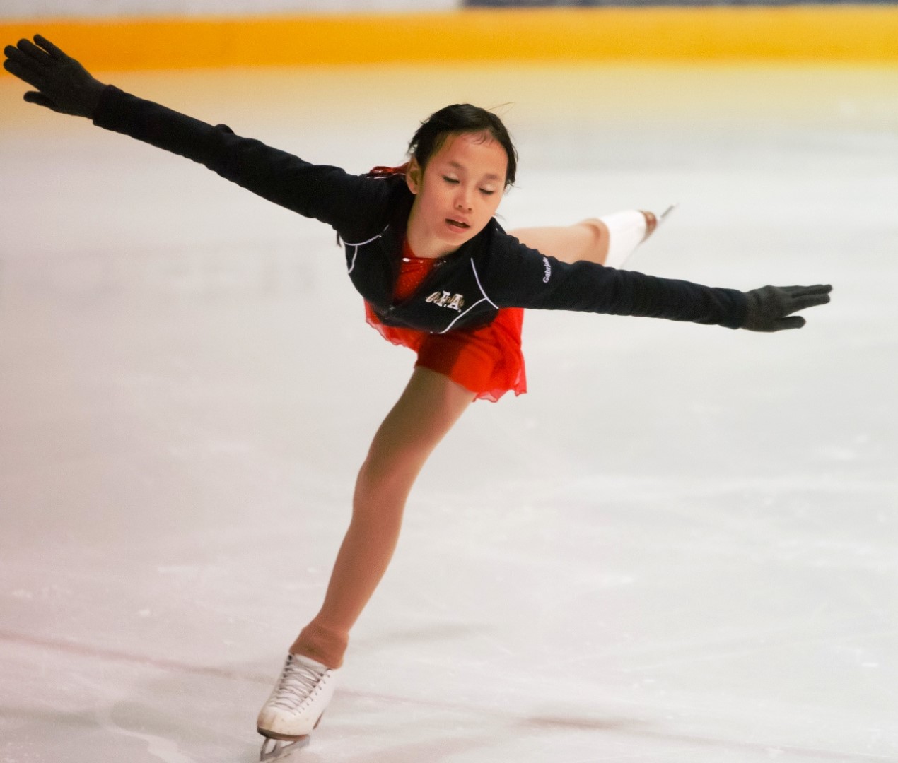 Plus de 350 patineurs du Québec se livreront bataille pour repartir avec les grands honneurs de la compétition Défi Chambly 2012, au centre sportif Robert-Lebel.