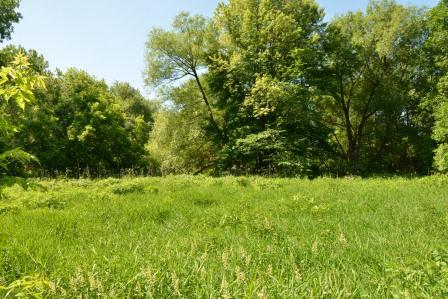 Le CCE se penchera sur divers enjeux environnementaux et recommandera des orientations de conservation au conseil municipal.