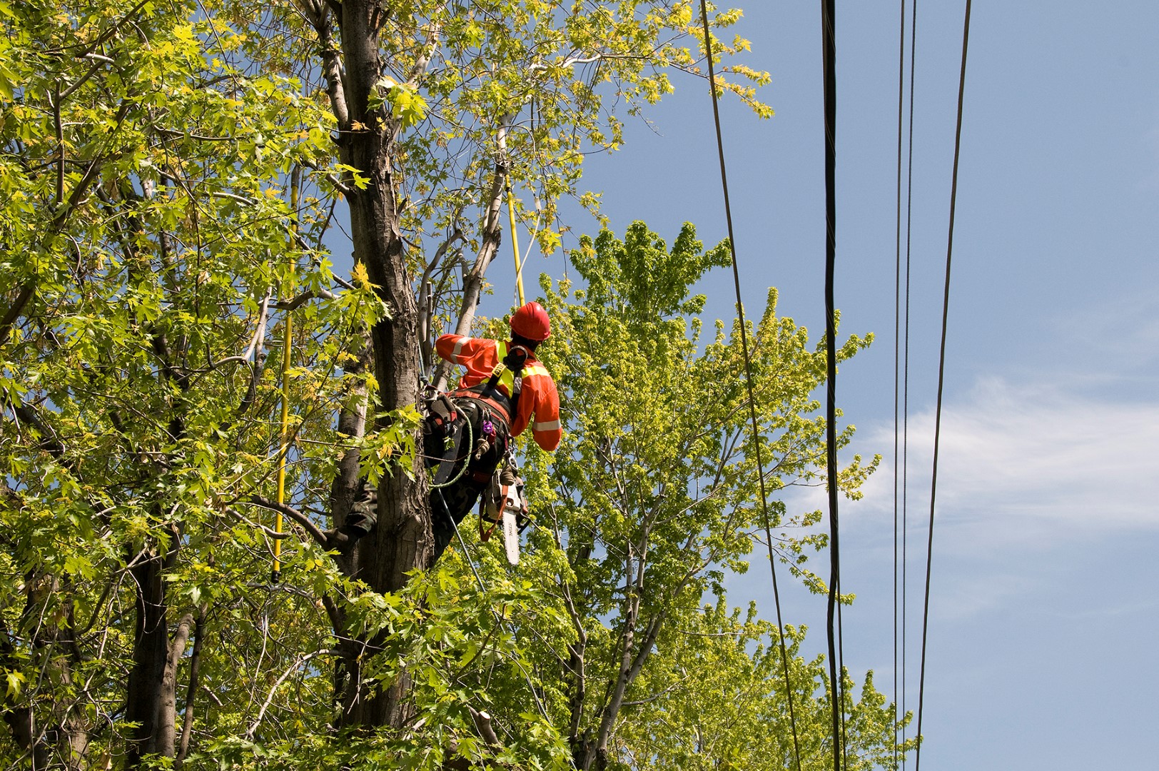 Hydro-Québec réalisera prochainement des travaux sur les rues Saint-Jacques à Chambly et Sainte-Thérèse à Carignan.