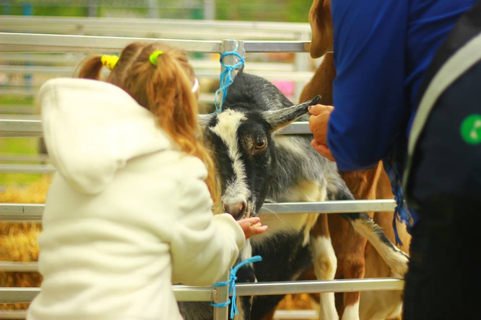 Rires, musique et activités familiales seront partie prenante de l'édition 2014 de la Fête d'automne de la Ville de Richelieu les 12 et 13 septembre.