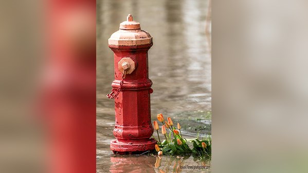 Des photos remplies d'émotion illustrant la dure réalité des derniers jours