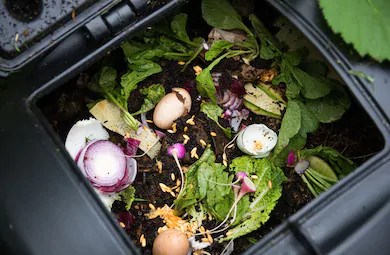 La collecte des matières résiduelles change d'horaire
