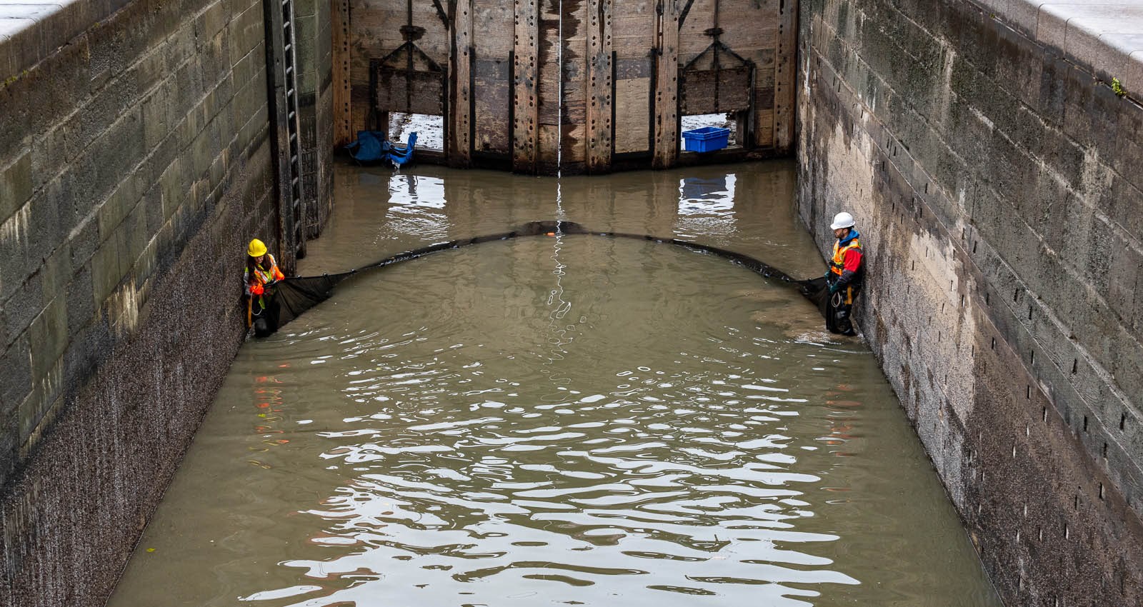 La senne utilisée pour le sauvetage de poissons.